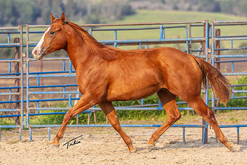 OU Changing Times (He Be Stylish x Time In The Sand)